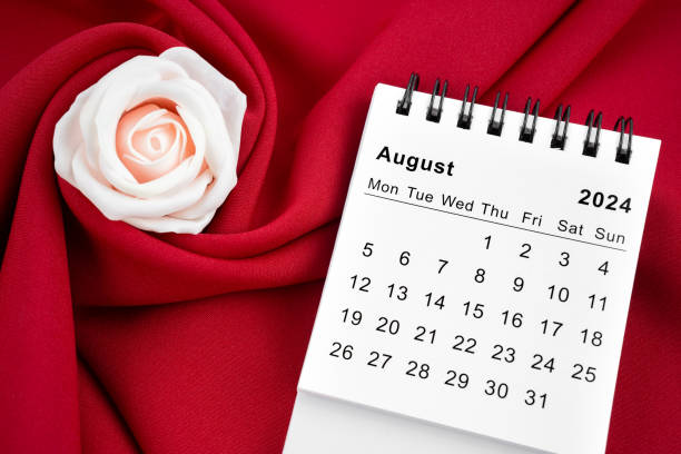 istock August 2024 desk calendar and pink rose on red textile. 2162043087