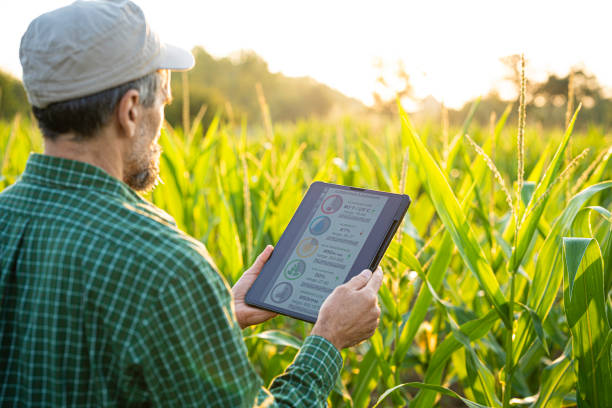 istock Smart Farming. Farmer Uses Agro App on Tablet in Corn Field at Sunset. 2162044085