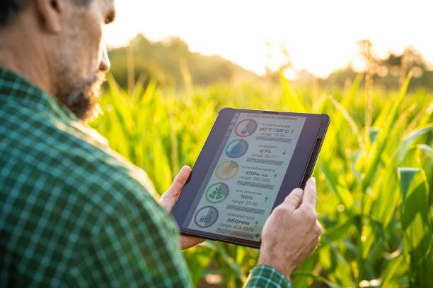 istock Smart Farming. Farmer Uses Agro App on Tablet in Corn Field at Sunset. 2162044086