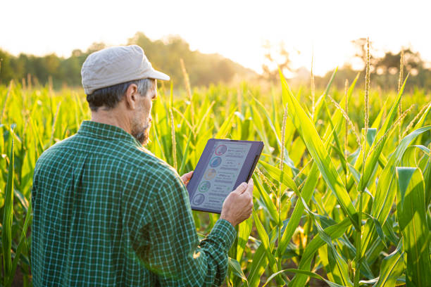 istock Smart Farming. Farmer Uses Agro App on Tablet in Corn Field at Sunset. 2162044087