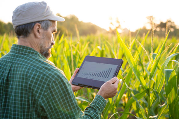 istock Smart Farming. Farmer Uses Agro App on Tablet in Corn Field at Sunset. 2162044091