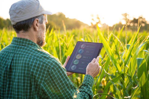 istock Smart Farming. Farmer Uses Agro App on Tablet in Corn Field at Sunset. 2162044356