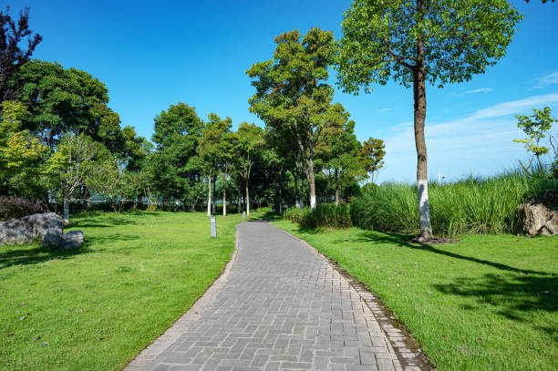 Beautiful natural brick cobblestone walkway path through a green garden going through your thoughts and processing natural beauty.