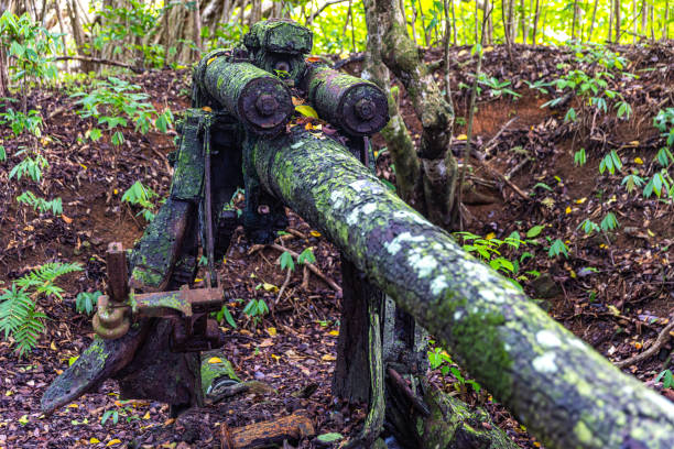 istock Ogasawara Islands, Hahajima: Battery under searchlight 2162053898