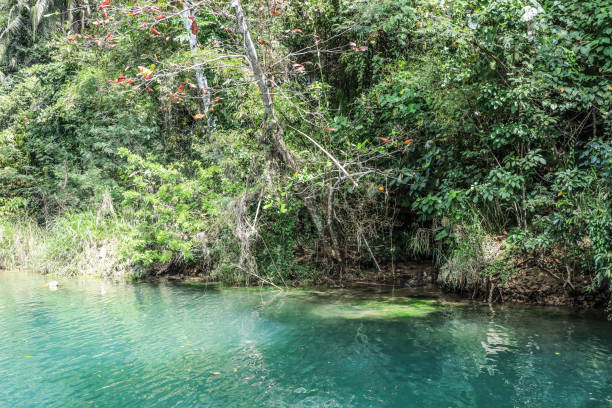 istock Philippines Bohlo Loboc River 2162054754