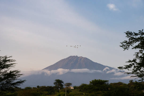 Mt Meru Evening view of Mt Meru, second highest peak of Tanzania arusha region stock pictures, royalty-free photos & images