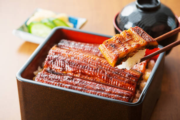Unagi don grilled eel on rice bowl