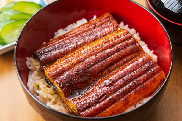 istock Unagi don grilled eel on rice bowl 2162055146