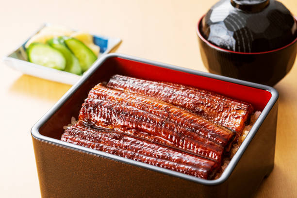 istock Unagi don grilled eel on rice bowl 2162055151