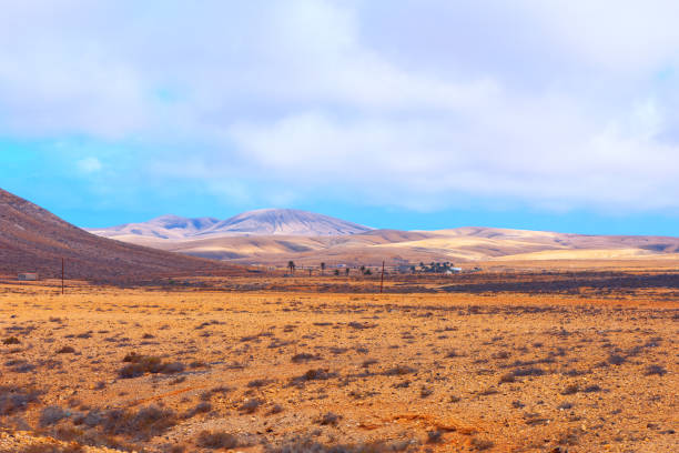 Desert landscape with mountains in the distance. Barren desert scenery of Fuerteventura, Canary Islands