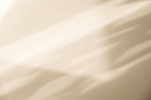 istock Studio style background wall decoration presentation uses white and beige tones. with shadows cast from a nearby window, concept creating a decorative backdrop. 2162061025