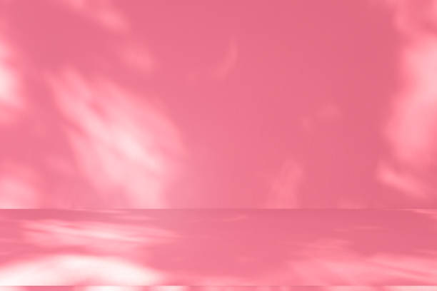 istock Studio style background wall decoration presentation uses white and pink tones. with shadows cast from a nearby window, concept creating a decorative backdrop. 2162061028