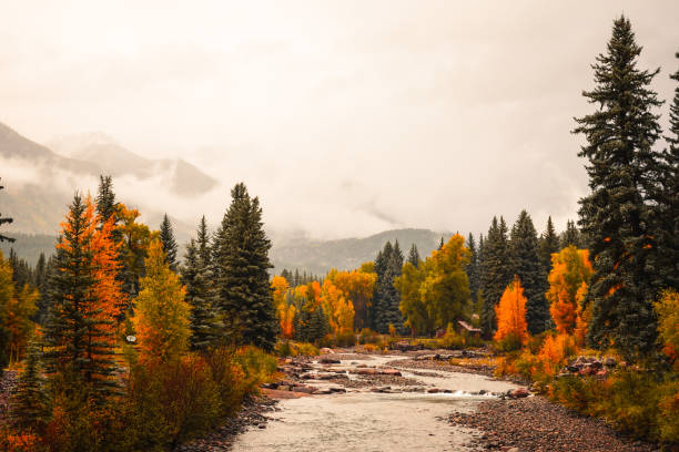 Foothills of the San Juan Mountains