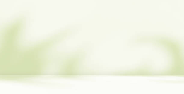 istock Empty green room studio with sunlight effect shadow of leaves. 2162065553