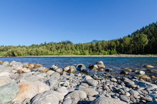 istock Mesmerizing view of the Vedder River winding through Chilliwack, BC, Canada 2162066543