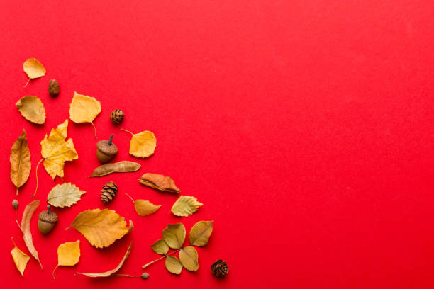 istock Autumn composition. Pattern made of dried leaves and other design accessories on table. Flat lay, top view 2162067116