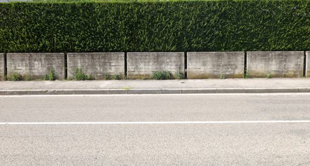 istock House fence consisting by separated concrete rectangles blocks with high hedge above. Cement sidewalk and asphalt street in front. 2162071772