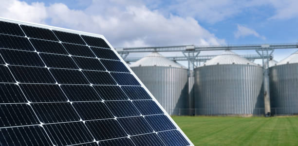 istock Modern farm using renewable energy. Solar panels with silos in the background 2162071865
