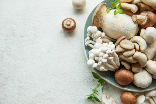 istock Assortment of various raw mushrooms on gray concrete background 2162072014