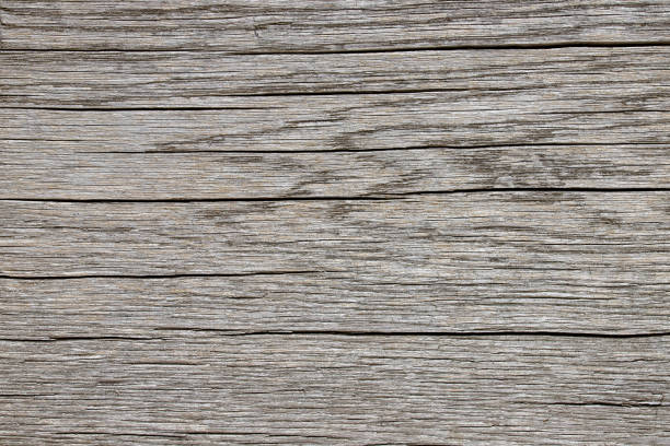 Wooden texture with natural patterns as a background. Cross-section of a tree