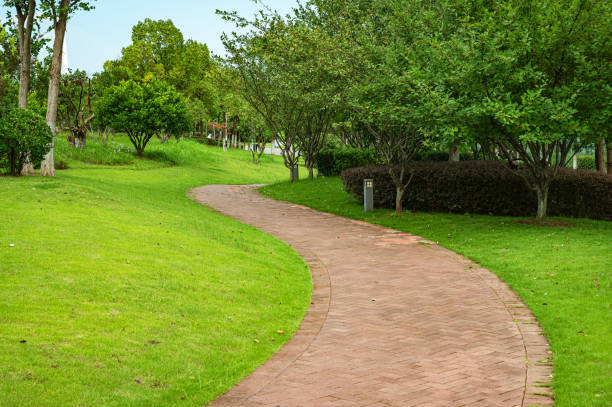 Stone brick road in a lush green park