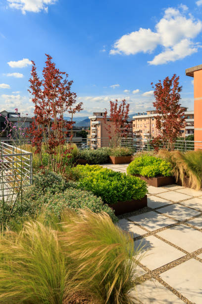 istock Roof terrace garden 2162078242