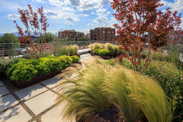 Rooftop garden