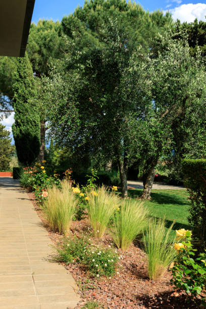 istock Italian style garden 2162078866
