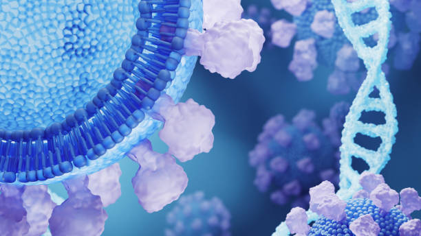 istock Close-up 3D rendering of a phospholipid structure in a blue and purple color scheme, showcasing molecular details and DNA strands. 2162080640