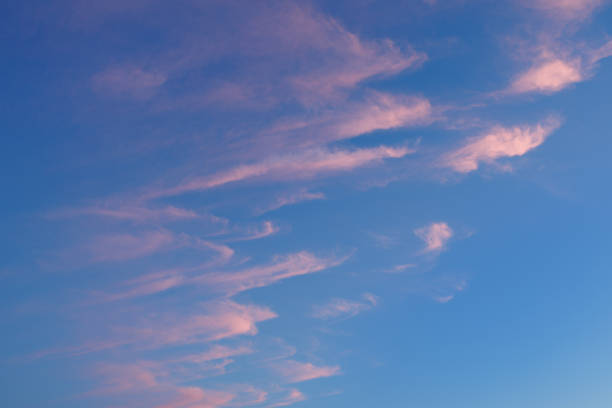 Wispy pink clouds gently sweep across a clear blue sky, creating a calm and vibrant atmosphere. The delicate colors blend harmoniously, evoking a serene and tranquil mood.