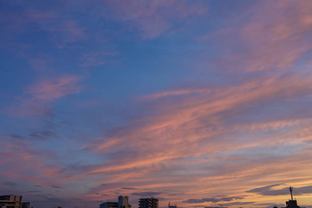 istock Gentle Silhouettes Graze a Fiery Sky at Dusk 2162086364