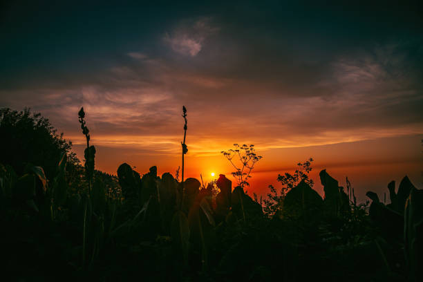 Beautiful sunset in the mountains