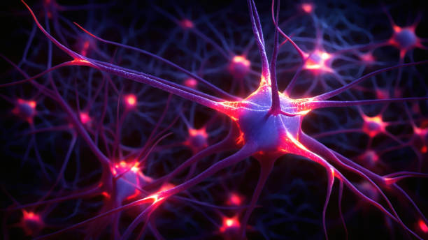 acionamento neurons - neurons abstract - fotografias e filmes do acervo