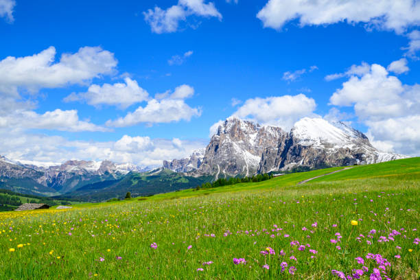 Seiser Alm or Alpe di Siusi landscape in the Dolomites during springtime