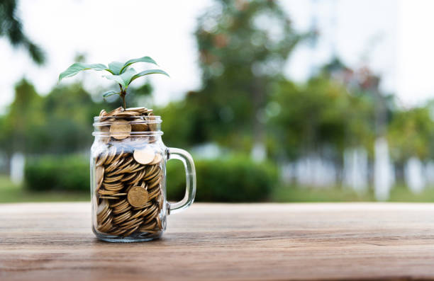 istock Plant growing from cup full of coins 2162094801