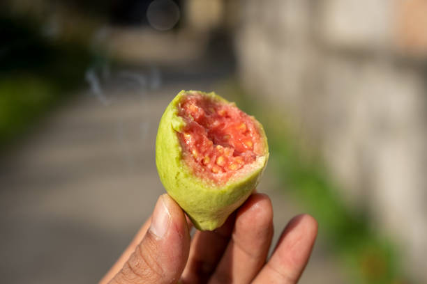 istock hand holding a red guava that has been bitten 2162094873