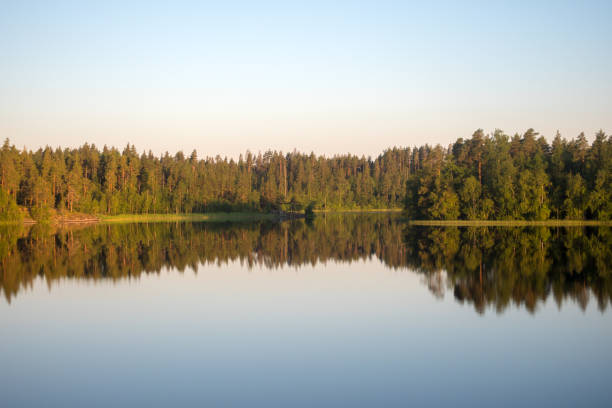 morning landscape with reflections on a forest lake in summer