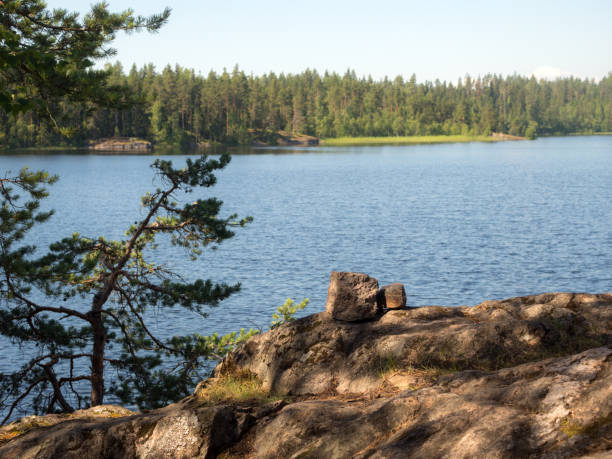 istock landscape with rocks in summer 2162094917