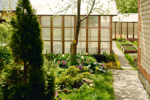 Part of spacious garden with green trees and grass and various flowers growing by hothouse standing next to country house