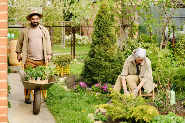 istock Mature couple working in the garden 2162095555