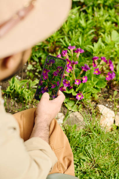 istock Smartphone with purple flowers on screen 2162095558