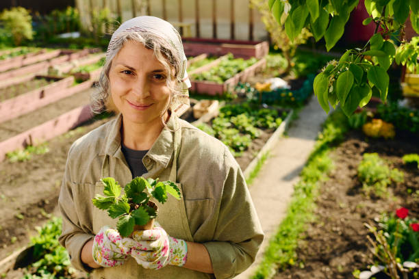 istock Happy mature female farmer with seedling 2162095586