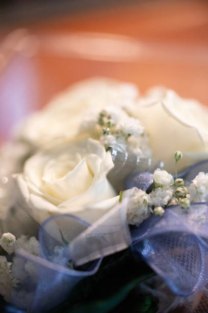 Closeup of a wristlet corsage for the prom, with white roses and a blue ribbon