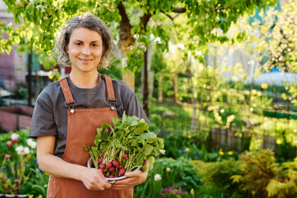 istock Smiling farmer with radish harvest 2162097744