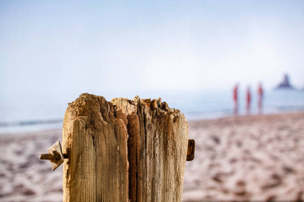 Old wooden stump as a table background on a tropical beach with copy space product display montage inspiration. Blue sky and sea background.