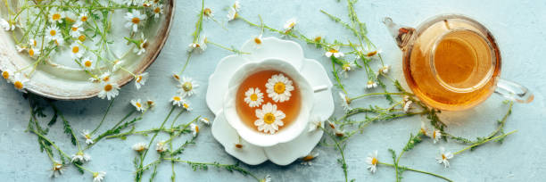 istock Chamomile flower tea panorama. A tea cup and a tea pot with medicinal flowers 2162101194