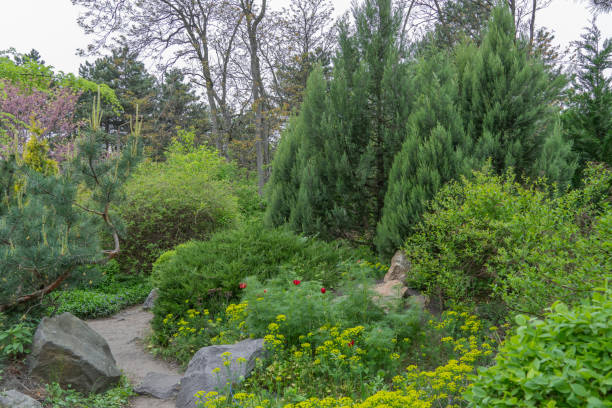 istock Composition of coniferous and deciduous plants in botanical garden. 2162102570