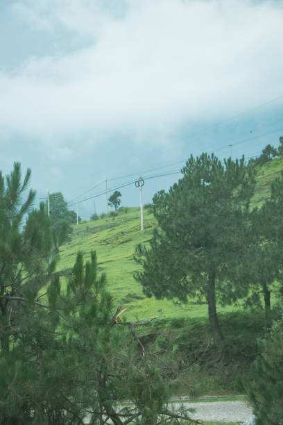 Travel diary of Yunnan，China in Summer