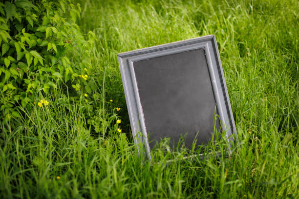 istock blank black wooden board in the grass 2162105934