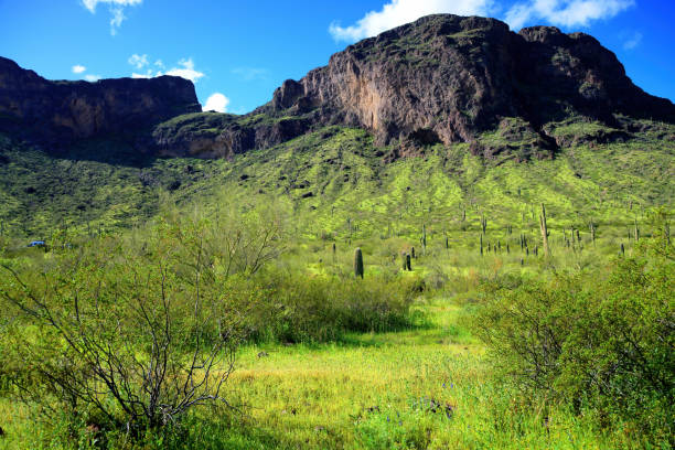 istock Sonora Desert Arizona Picacho Peak State Park 2162109253